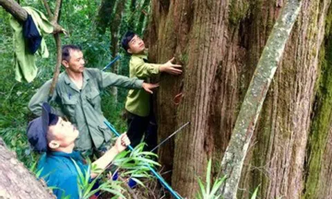 Những điều kỳ thú ở đại ngàn Vũ Quang