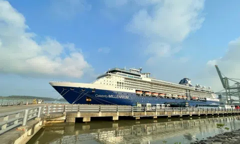 Doanh nghiệp "ngồi trên lửa" khi cảng ở TP HCM ngưng đón khách du lịch tàu biển