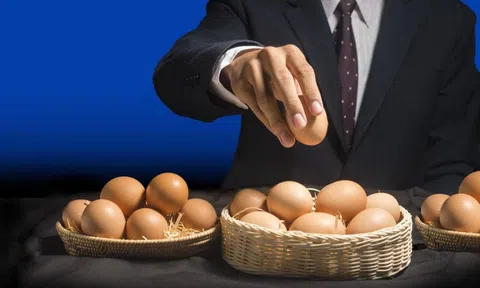 Đừng "bỏ trứng vào một giỏ": Bật mí cách phân bổ danh mục đầu tư chứng khoán an toàn và hiệu quả