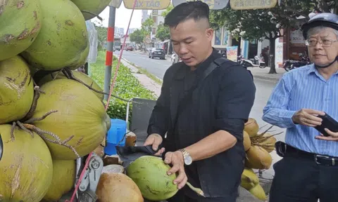 Xuất khẩu dừa tươi nhìn từ bài học sầu riêng, thanh long