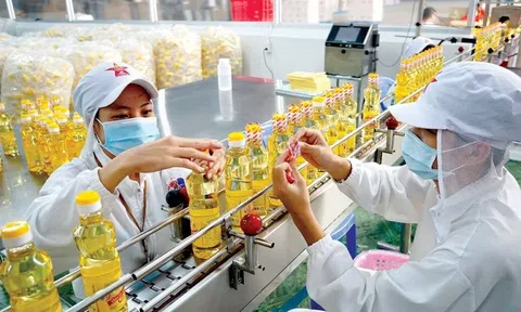 Vocarimex chốt hủy tư cách đại chúng, Kido thâu tóm nốt cổ phần