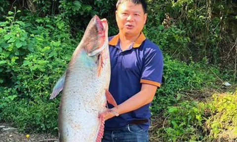 Hàng trăm người đổ về hồ Trị An săn 'kho báu cá khủng', có con nặng 20kg