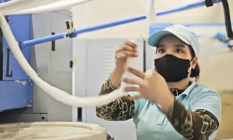 Khởi nghiệp xanh gặp nhiều thách thức