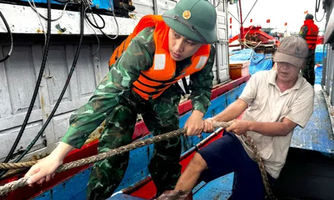 Quảng Ngãi họp để ứng phó với bão Fengshen "Thần Gió"