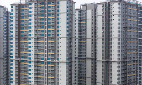 Ban hành rất nhiều luật sao vẫn chưa kiểm soát được giá nhà, giá vàng?
