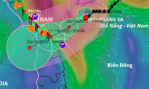 Bão số 12 Fengshen cách Đà Nẵng 240 km, gây mưa rất to từ đêm nay, cục bộ tới hơn 800 mm
