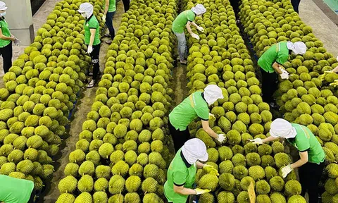 Trung Quốc ra quy định mới về nhập khẩu nông sản