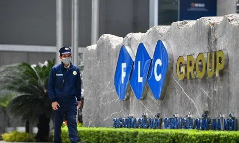 Hai thành viên Hội đồng quản trị FLC cùng từ chức