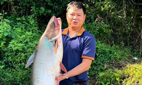 Hàng trăm người đổ về hồ Trị An săn 'kho báu cá khủng', có con nặng 20kg