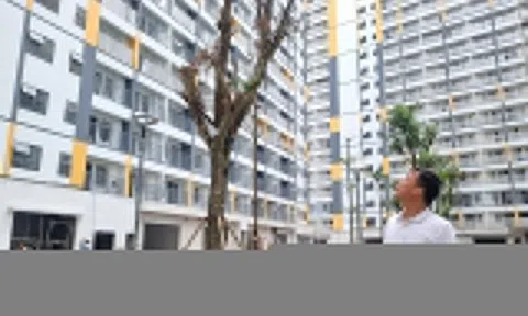 Bố đơn thân có 2 con đẻ sắp được ưu tiên mua nhà ở xã hội