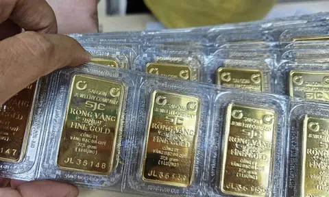 Sáng 23-10, giá vàng miếng SJC và vàng nhẫn biến động trái chiều