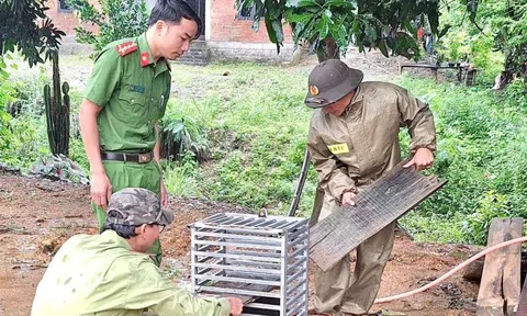 Bắt được con vật "mặt đỏ như gấc", người dân trình báo chính quyền