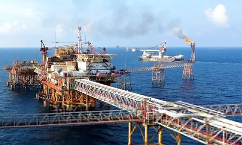 Petrovietnam muốn thoái hết vốn ở 2 công ty