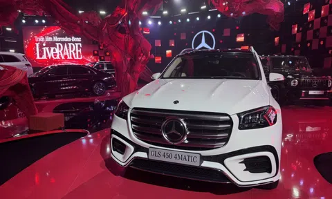 Xe sang ế ẩm, nhà phân phối gặp khó