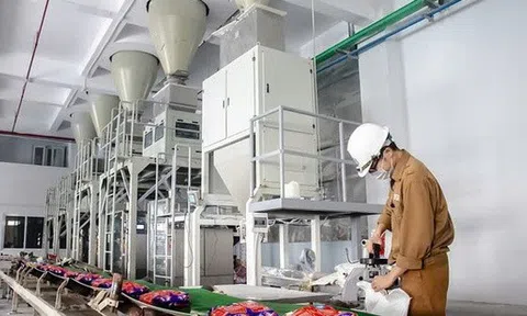 Hóa chất Đức Giang ‘ôm’ hơn 12.700 tỷ đồng tiền gửi ngân hàng, quý III/2025 lãi ròng 804 tỷ đồng