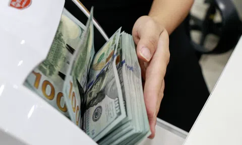 Ngân hàng Nhà nước: Có đối tượng mua ngoại tệ tiền mặt để trục lợi