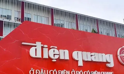 Tập đoàn Điện Quang khắc phục tình trạng cổ phiếu bị cảnh báo và kiểm soát