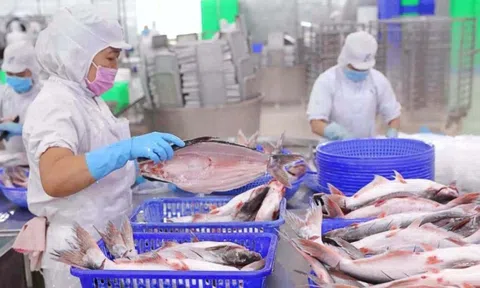 Quý 3/2025: "Nữ hoàng" cá tra Vĩnh Hoàn báo lãi tăng vọt 35%, "thoái" hơn trăm tỷ loạt cổ phiếu bất động sản