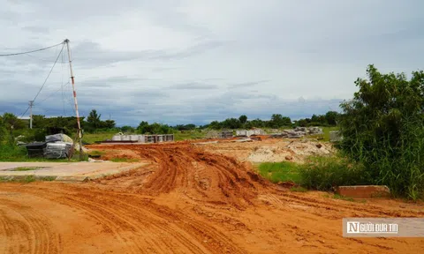 Dự án nhà ở xã hội phơi nắng mưa, cỏ dại phủ kín