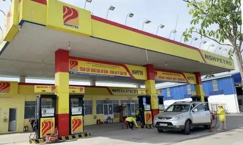 Công ty dầu khí Nam Sông Hậu: Giám đốc bị bắt, cổ phiếu lao đao