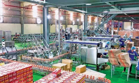 Chi phí leo thang, lợi nhuận Sữa Lof “trượt dốc” trong quý III/2025