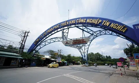 Hoàn nhập dự phòng và lãi tài chính "cứu" kết quả kinh doanh của TIP