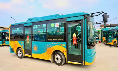 TP HCM muốn “đi trước 20 năm” trong chuyển đổi xe buýt