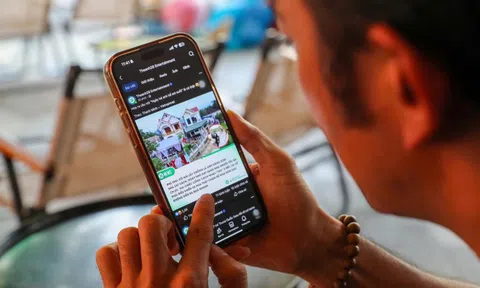 Nhức nhối xâm phạm bản quyền trên mạng