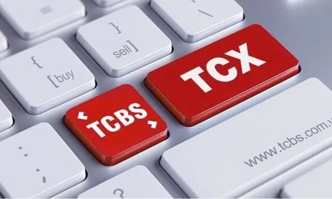 TCX - Cổ phiếu Việt hiếm hoi “lọt mắt xanh” MSCI ngay sau niêm yết