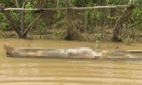 Người đàn ông mặc áo xanh không giấy tờ tùy thân chết nổi trên sông