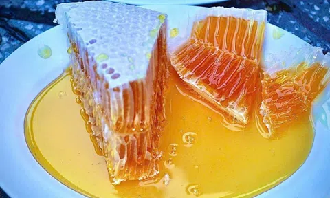Tuyệt chiêu nhận biết mật ong nguyên chất đã bị pha nước