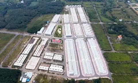 Diễn biến mới ở dự án Viva Park khiến Chủ tịch LDG vướng lao lý