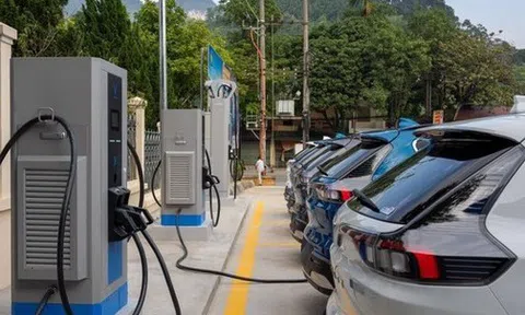 "Đại gia" Nhà nước bắt tay Vingroup phát triển hệ thống trạm sạc xe điện báo lãi quý 3/2025 vượt 1.000 tỷ, cao nhất 4 năm