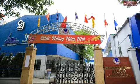 Halico trở lại thua lỗ sau nửa năm có lãi hiếm hoi