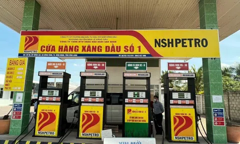 Vì sao Phó tổng giám đốc Công ty Dầu khí Nam Sông Hậu bị bắt?