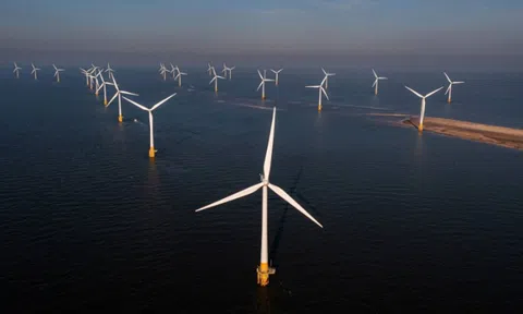 “Đòn giáng” mới vào điện gió ngoài khơi ở “xứ sở Kangaroo”