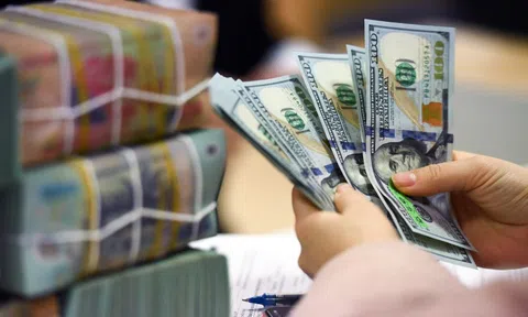 Giá USD tự do biến động