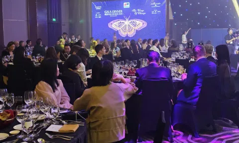 EuroCham trao Giải thưởng Doanh nghiệp xuất sắc 2025