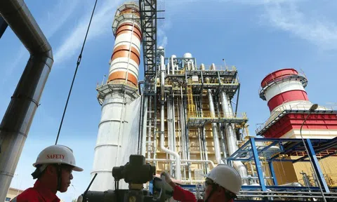 Hàng loạt công ty điện báo lãi lớn