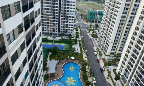 Hơn 58.000 căn hộ chung cư tại TP.HCM chưa được cấp sổ hồng