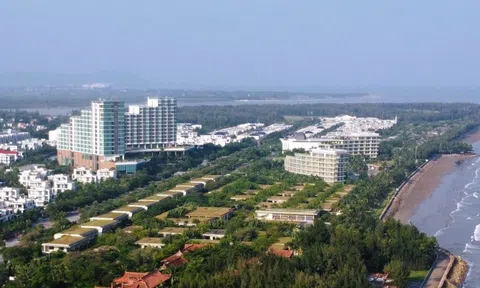 Hàng ngàn doanh nghiệp ở Thanh Hóa nợ bảo hiểm hơn 500 tỉ đồng