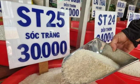 Giá gạo trong nước neo cao, HSBC nâng dự báo tăng trưởng GDP Việt Nam