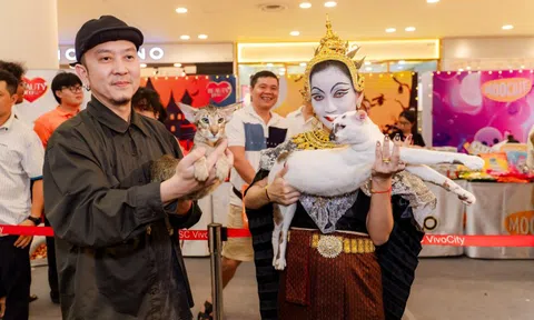 Lần đầu cặp đôi mèo "xấu nhất thế giới" có mặt tại TP HCM