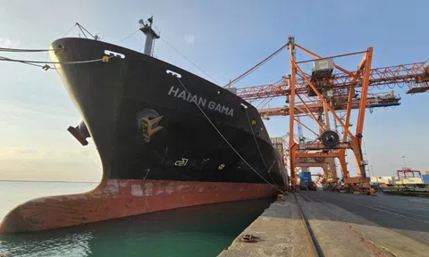 Lợi nhuận của Vận tải và Xếp dỡ Hải An tăng đột biến