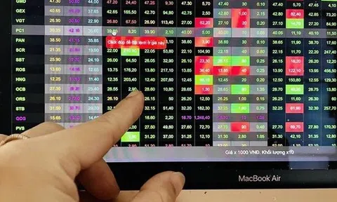 Tung 900 tỷ "gom" cổ phiếu Việt Nam trong phiên đầu tuần, tự doanh CTCK săn lùng mã nào nhiều nhất?