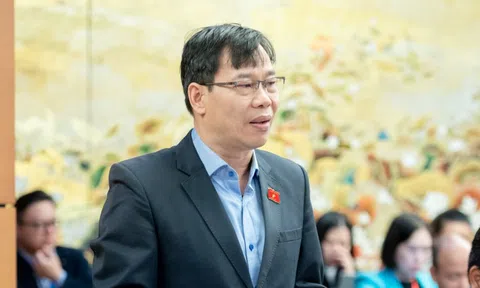 ĐBQH băn khoăn về tiêu chuẩn giám đốc doanh nghiệp bảo hiểm