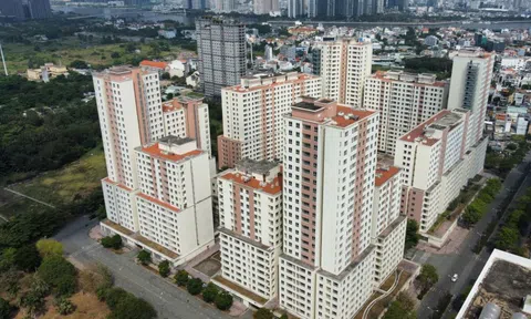 Phải xử lý mạnh hơn nữa với những người trúng đấu giá đất rồi bỏ cọc