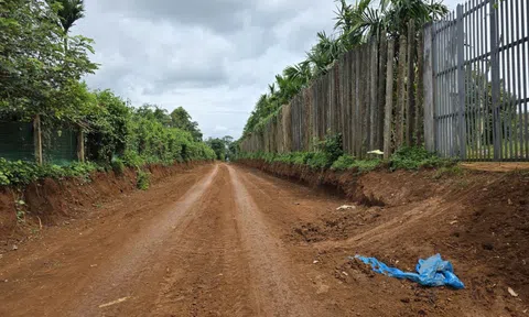 Chuyển hồ sơ công an điều tra vụ đào đường lấy đất "khó hiểu" ở Đắk Lắk