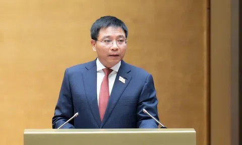 Hộ kinh doanh sẽ tự kê khai thuế theo hóa đơn, doanh thu thực tế