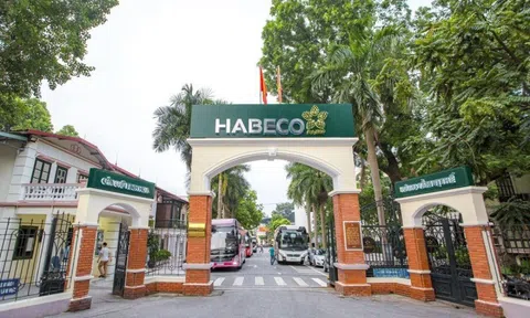 Habeco lãi cao nhất 4 năm, nợ vay chỉ còn vỏn vẹn 1 tỷ đồng